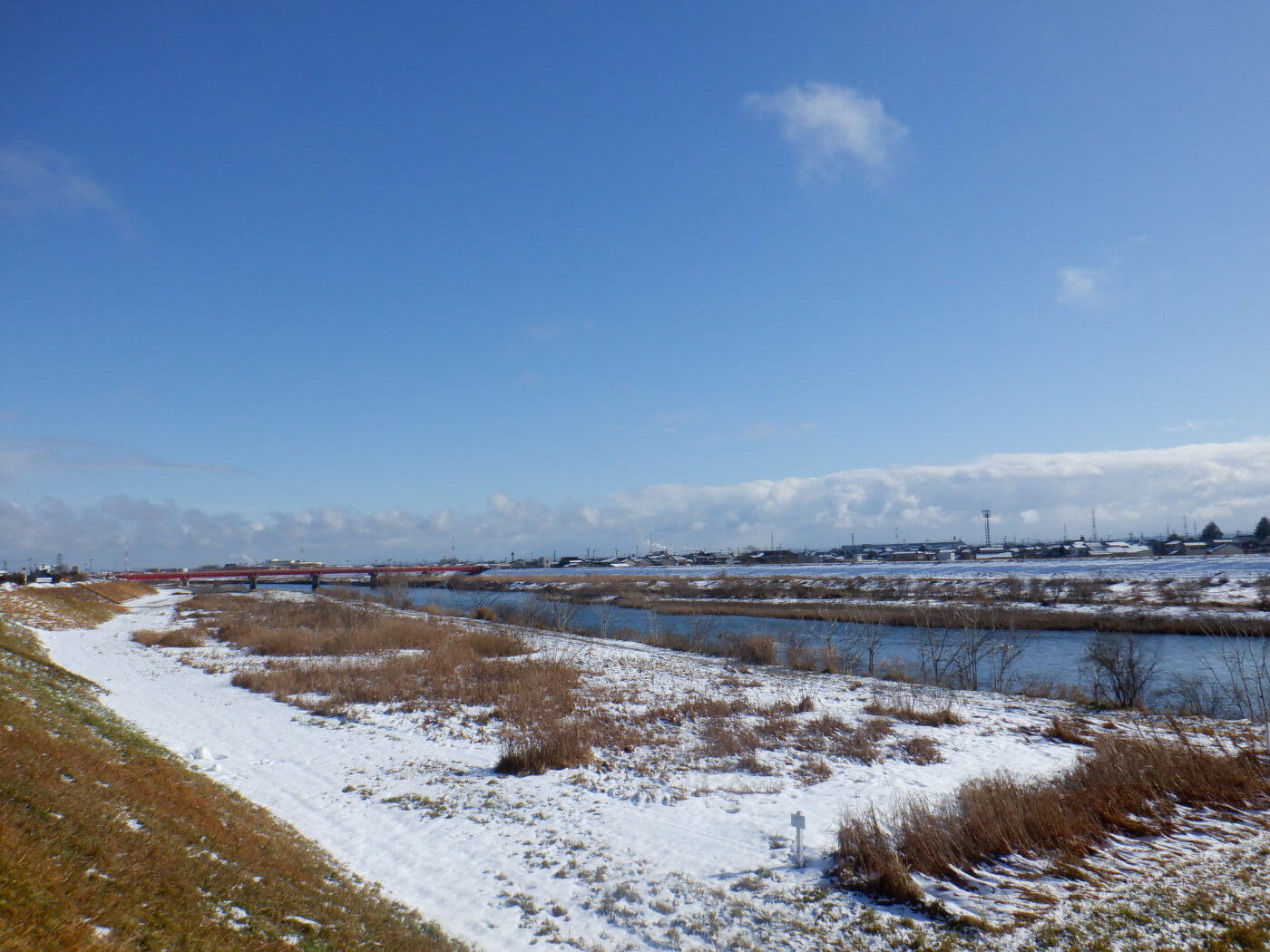 DSCF7875_02.jpg