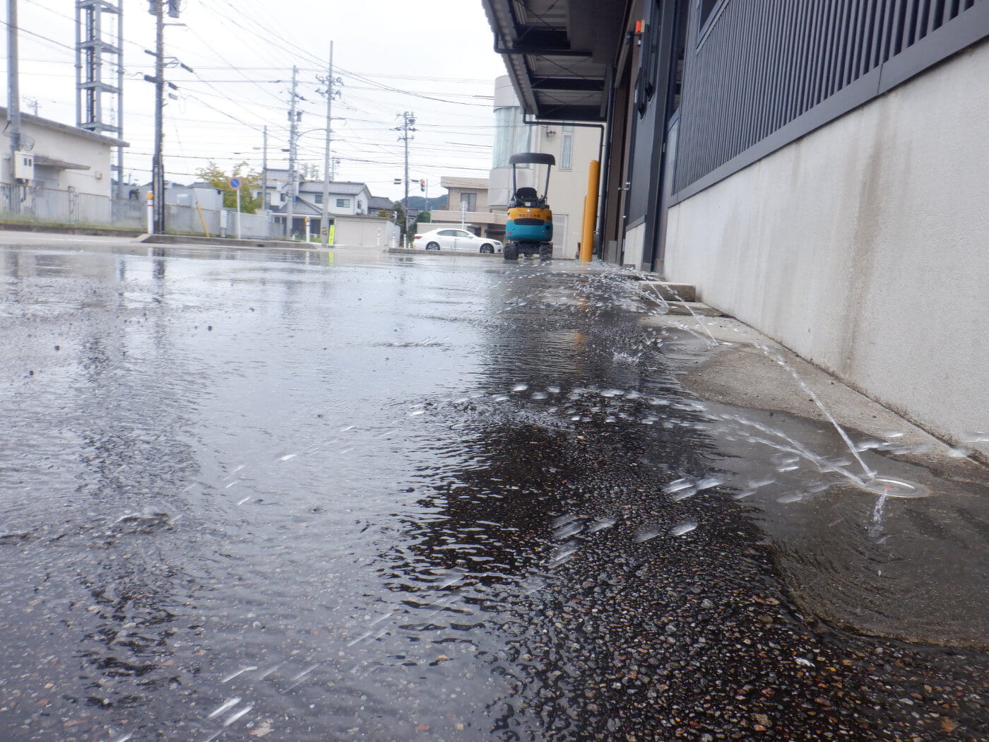 降雪？猛暑の散水！