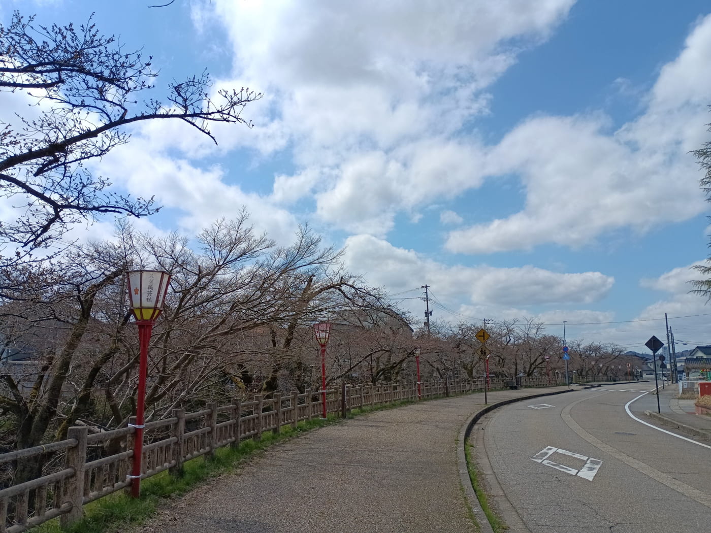 ～桜並木と交通安全～